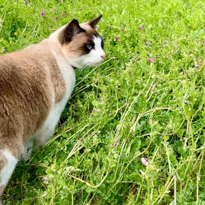 2e4536ef 6a59 478b b5a2 26d4983c6691 1743645653011