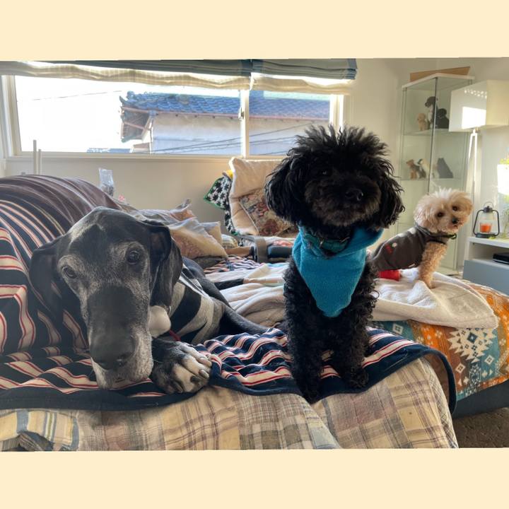 2e453cbe 41d3 413c b7ed df72839ea9fc 1645741657039