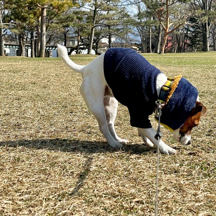 2e4554c3 0982 4e5b 8d39 c3d93834d14e 1646725226595