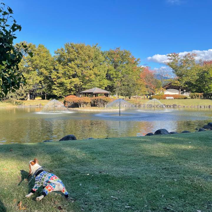 2e4556e6 076c 467c a8d4 d9b8f635b0eb 1634810065907