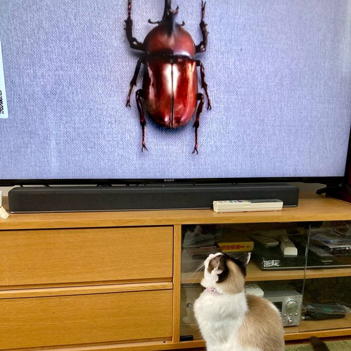 2e455c57 8926 41e3 a854 e014a1b3b651 1648259515143