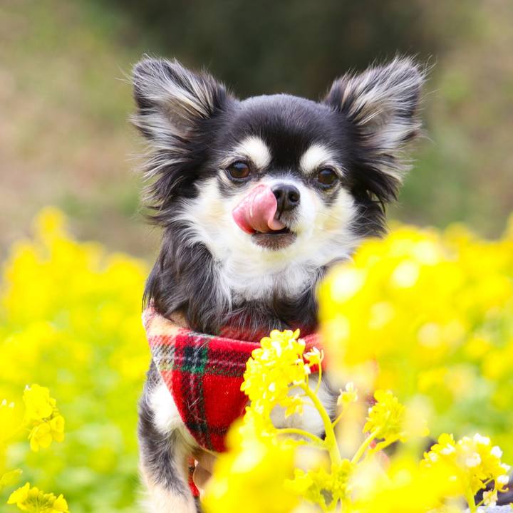 2e458ea9 45a8 4993 8600 db75c58dfb68 1770459168421