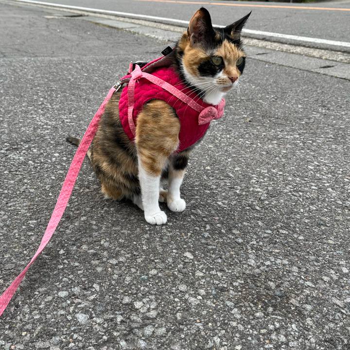 2e45b983 8932 4054 a48d b6e6b46efd62 1650668375684