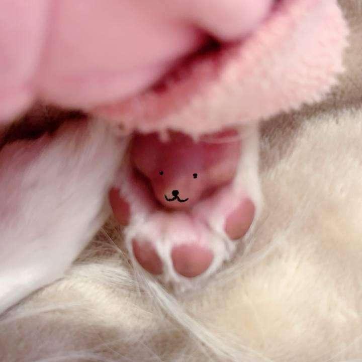 2e45f057 f75d 47da a230 2ff27e2837e1 1701757479332