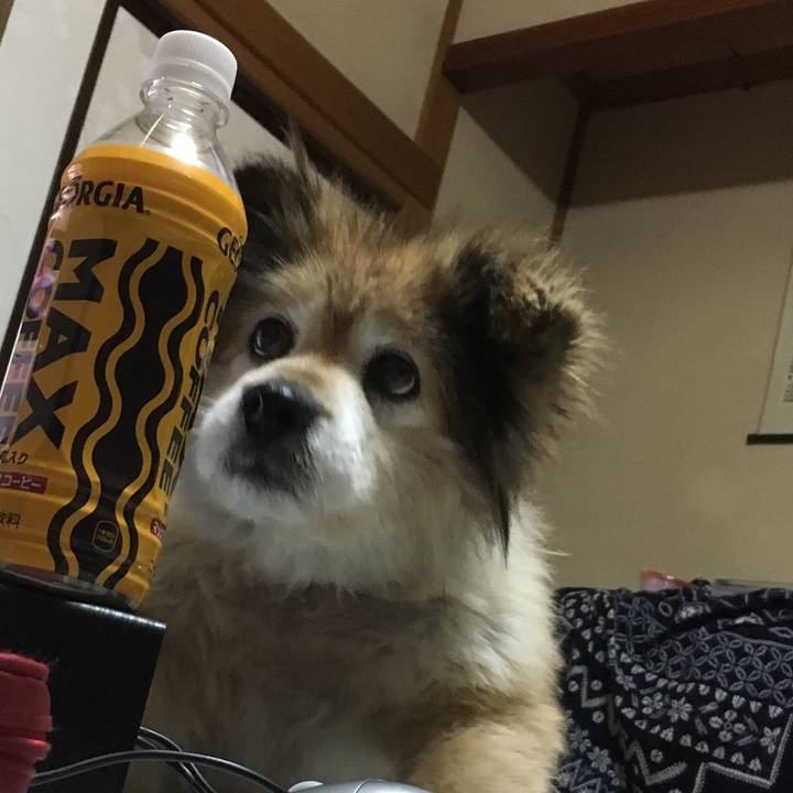 2e460a97 67b2 4866 9cce 16f8b7518fe7 1590720083759