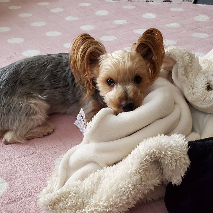 2e4613cc 22d6 4253 9cec 49eae4da1ff1 1587595218357