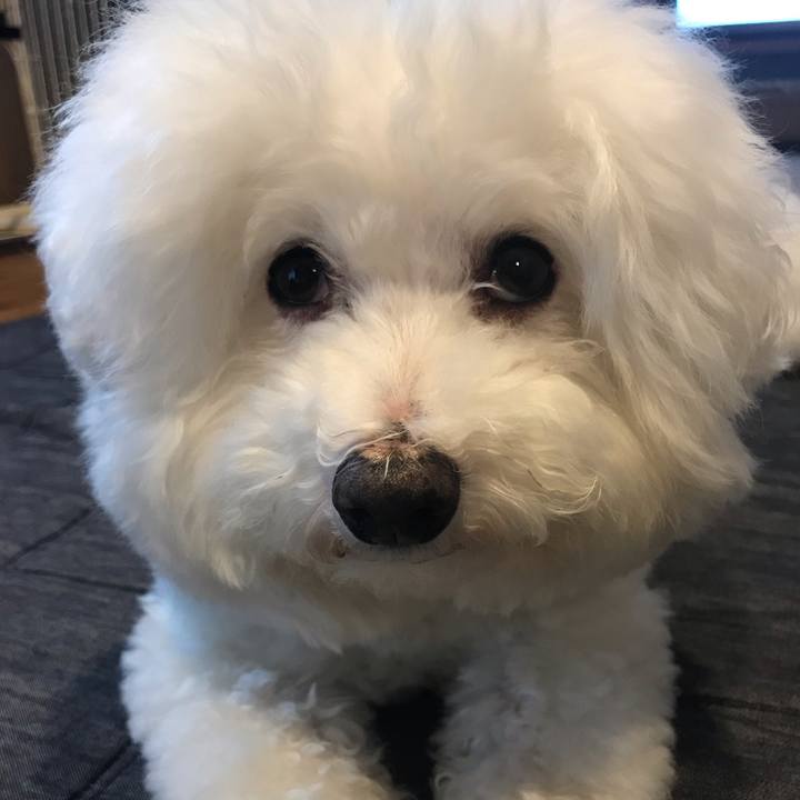 2e463d1f efcb 44ae b9a1 5c56ffa0de51 1596098682145