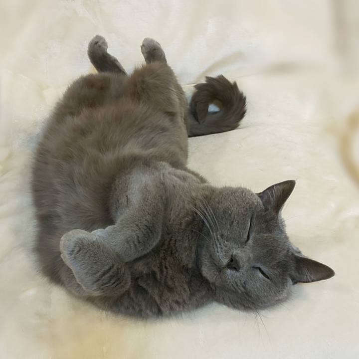 2e464fcc 86cc 4e97 bffb 5b76e777b545 1761658020403