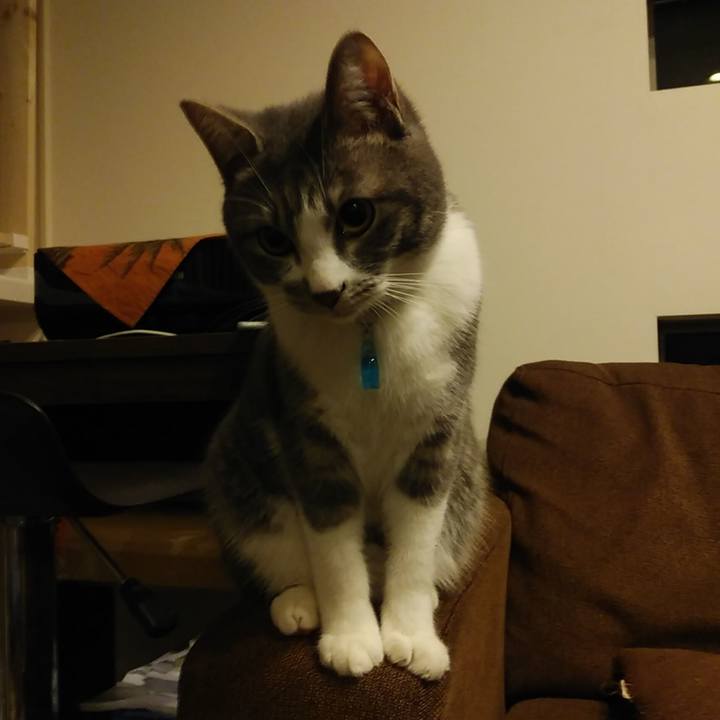 2e465535 4f8b 45bb be7c 2caa390e28c7 1582812591204