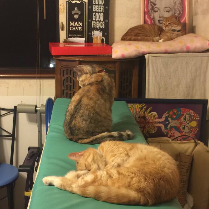 2e4661df 6950 40b1 86f1 1724a98feb99 1559825758374