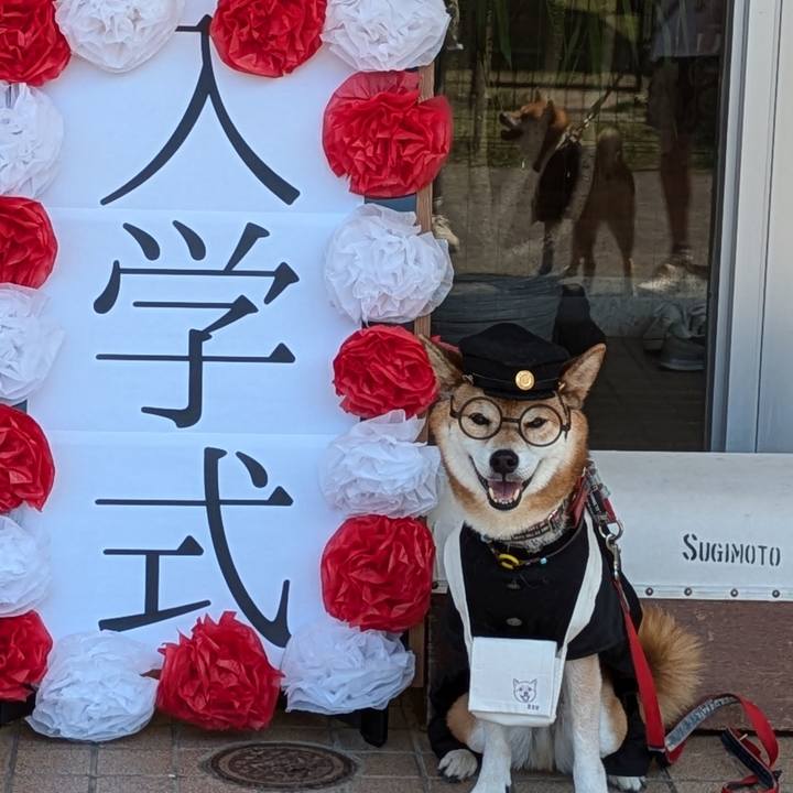 2e466ee9 9238 4d2a aca0 51ab26e492b6 1722848315760