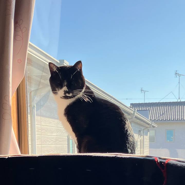 2e467379 22c9 4eec bdbb 88b83e14805c 1703648104073