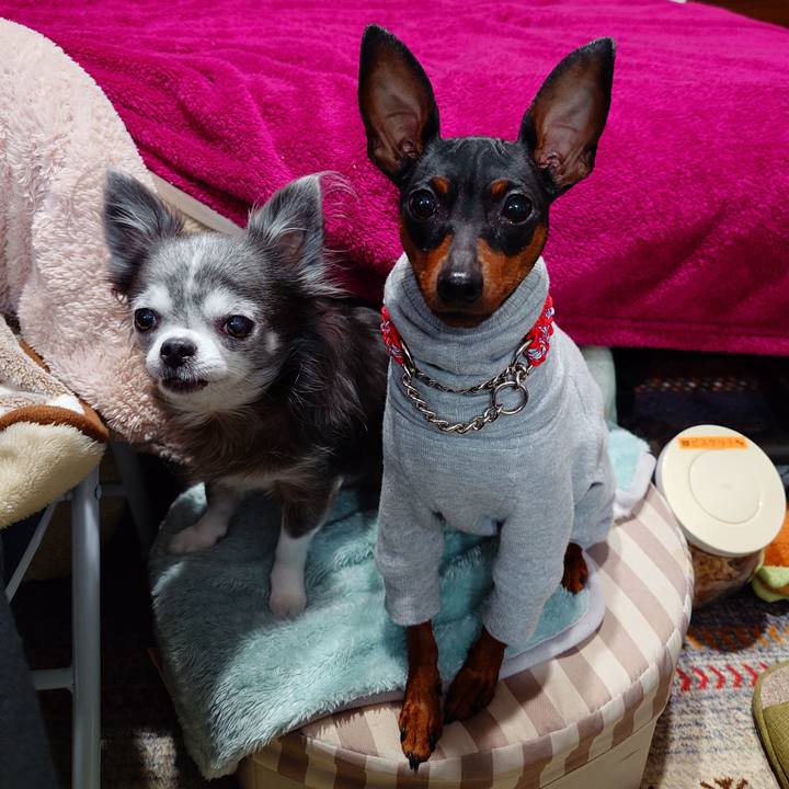 2e46a95d 7ab0 4109 b78c 2ef1b247365b 1764684446986