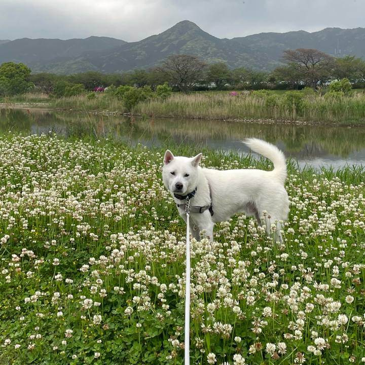 2e46b78b 2375 449d 808f 4fbdefc9130a 1713565565212