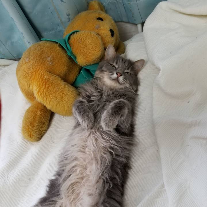 2e46da26 2e80 43a1 8e5d 32b6deff03f6 1707092238238