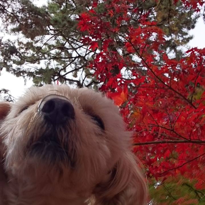 2e46ed35 ba44 4ed0 8190 0a1e829dfd9a 1606105026201