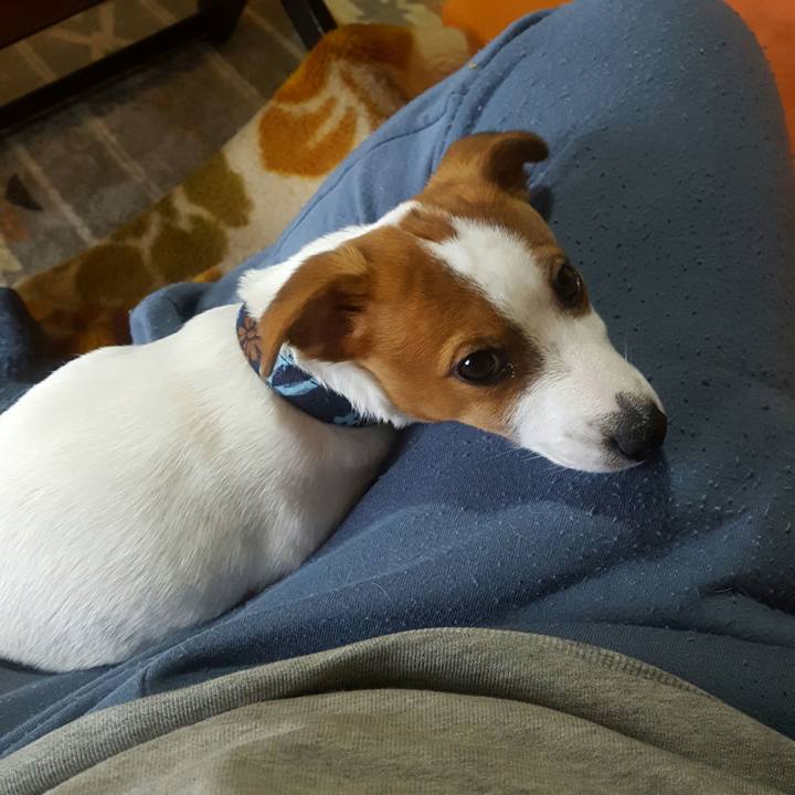 2e472c71 8532 4c1e adcb fbb892cf8b89 1551661806265