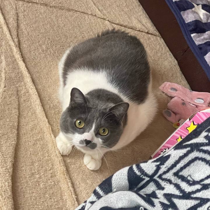 2e473d6c bbea 4c7f a3c9 a6e360d50a87 1745272135770