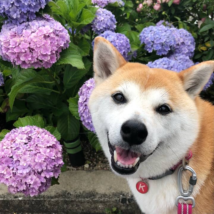 2e4797e6 51cd 4ecd b3ec acdb6f3ca74f 1655787043433