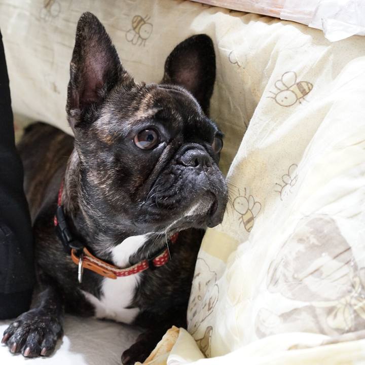 2e47b482 5e7b 4142 b6b4 8f763f524a7f 1514732937857