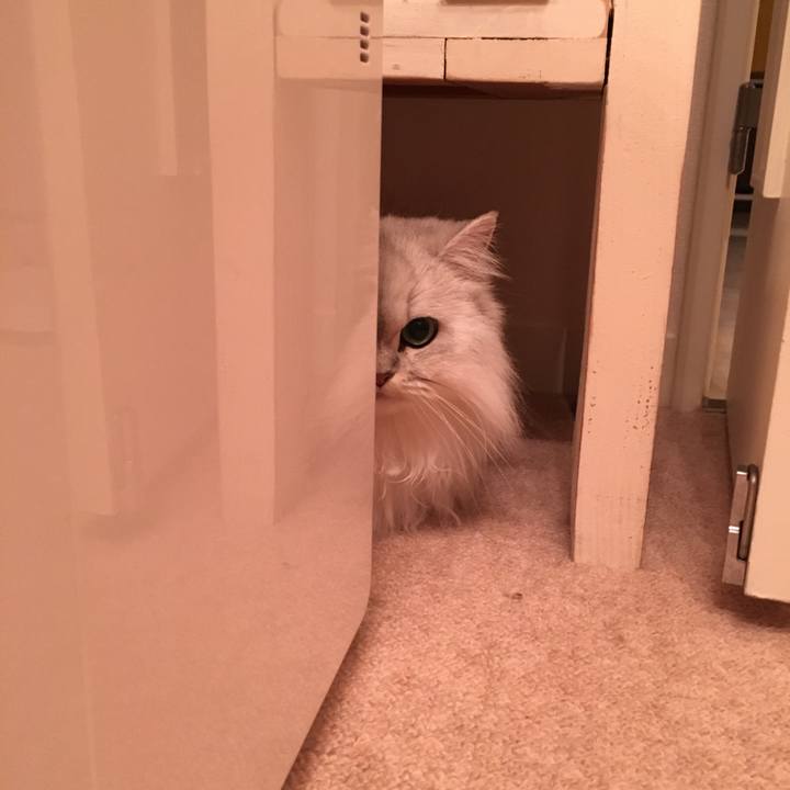 2e47cf55 e1f7 4c6a ac28 ba6790e06e1c 1511180284068