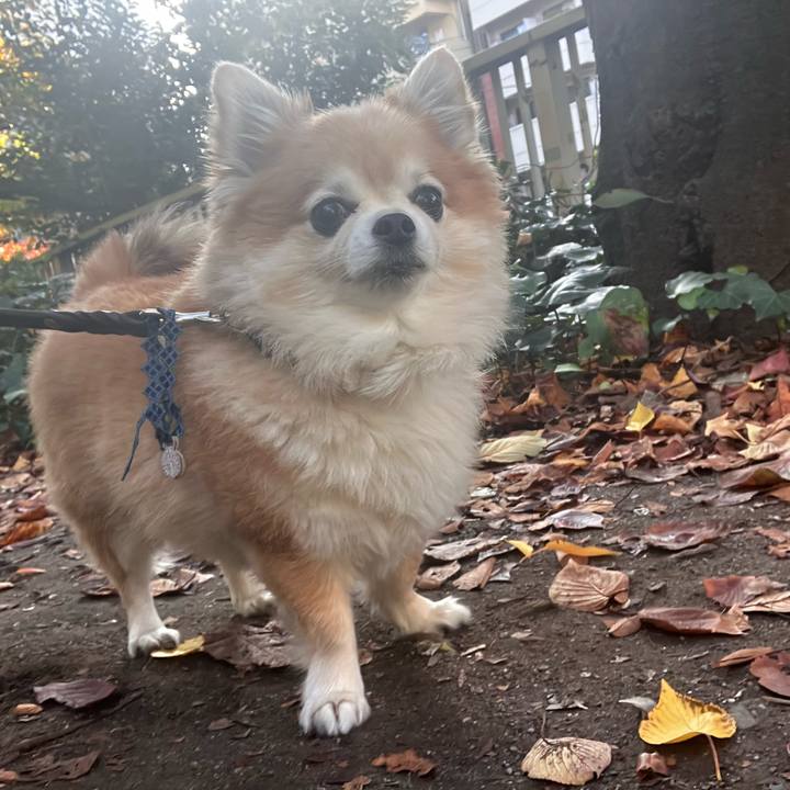 2e47d334 97d0 487f b7df ff472b14fb75 1763110747348