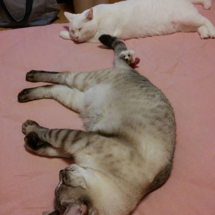 2e47f131 80d9 4cf5 adc6 fa8cb82476d7 1534255921723