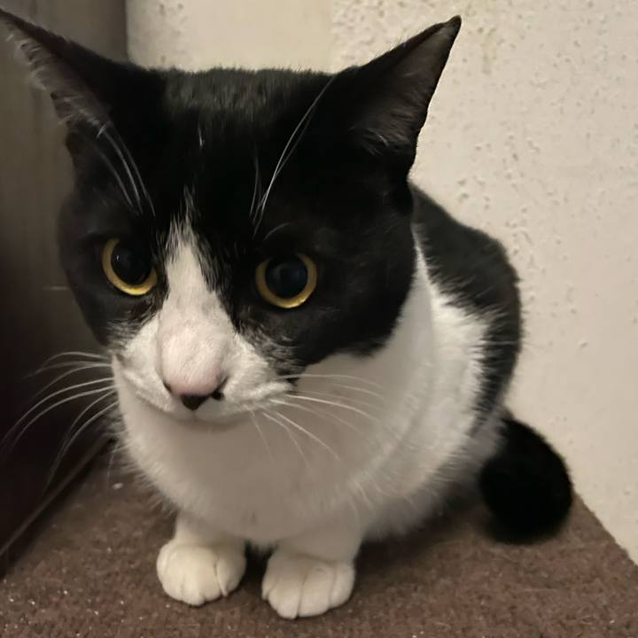 2e481b2b 7100 4888 82e8 2fa85a2addee 1738989122585