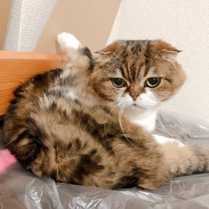 2e484539 f87a 4782 889f aac902fb76dc 1557734136632