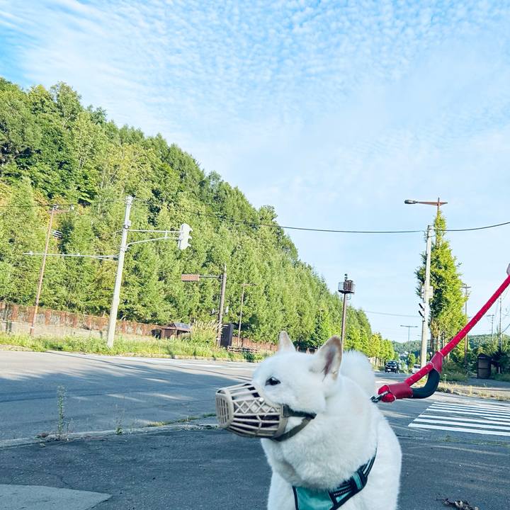 2e485df7 2ad8 425d bc31 0a53433ea020 1694901320355