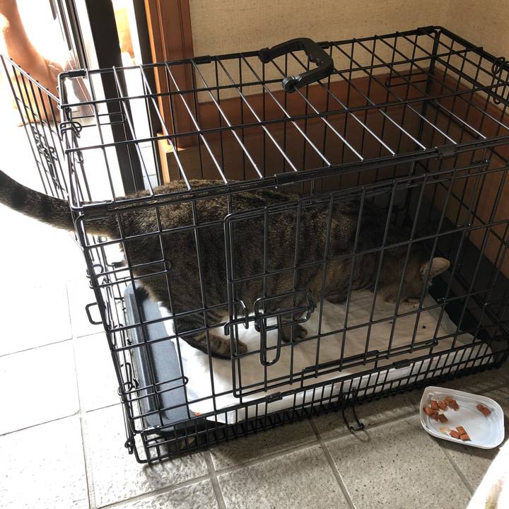 2e487d8c e964 4524 9f48 f2fe97e65dea 1536375708159