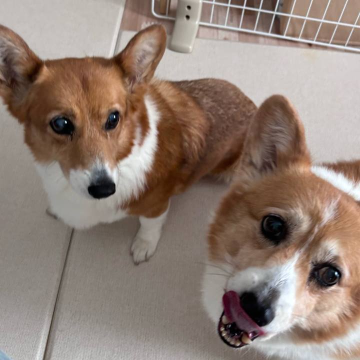 2e490d6b af58 46a9 8265 545dabc8765b 1750728821046