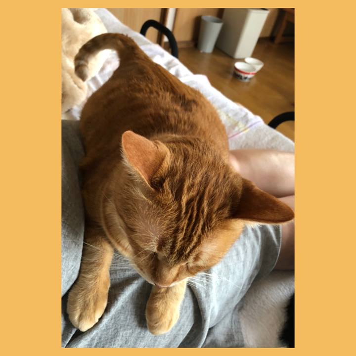 2e492f2c 5e29 479f 9423 f3b129110dbd 1587284744048