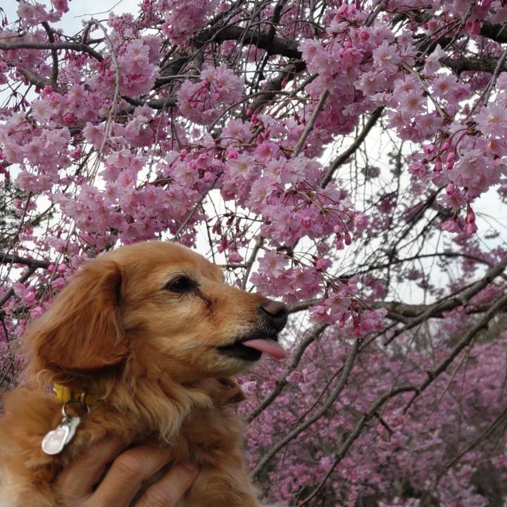 2e494edb 4544 43d1 a719 94c9e7c82b62 1679997654312