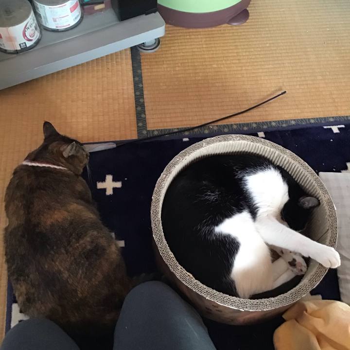 2e49561f 1b6d 4e63 9308 05d58a21b8b3 1713312141109