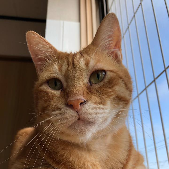 2e49591e a154 479d b573 9c4fc52f8d35 1563659290918