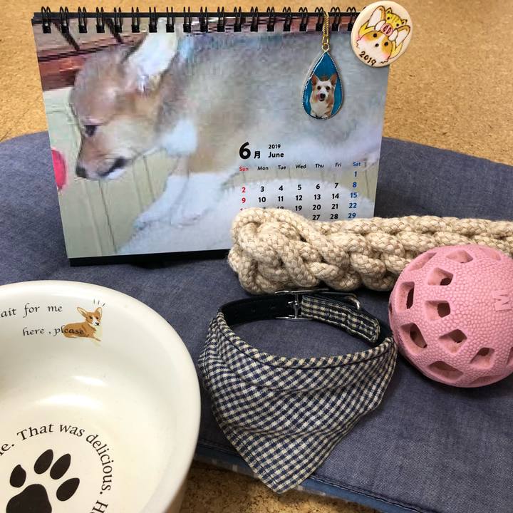 2e4960eb 6a5a 4255 b770 309c72ce5291 1560132558265