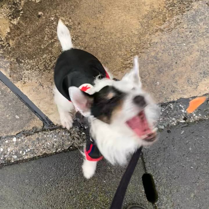 2e496bb1 720a 4ec2 bb20 c5be9423d4b6 1709624000841