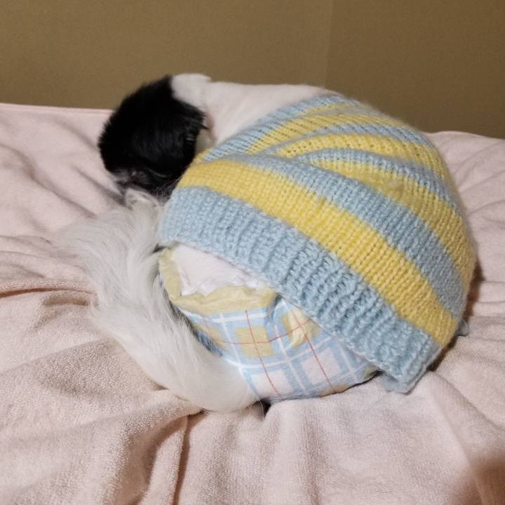 2e49794b 4098 4dff a1f0 8824dbb008cf 1588076352540