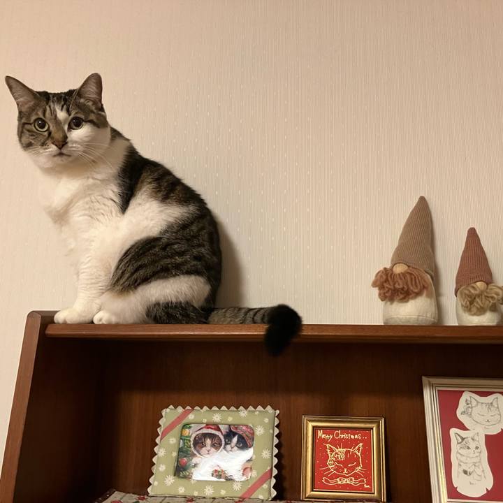 2e498f82 5f4f 4c67 9344 ae7005651489 1765705700686