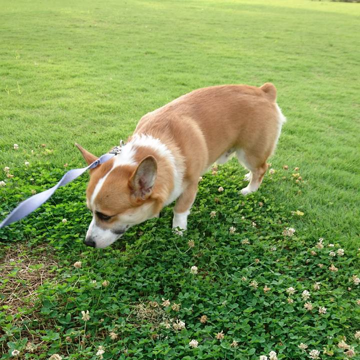 2e499d85 e163 4d41 89fb 4e13d10142ef 1596505136962