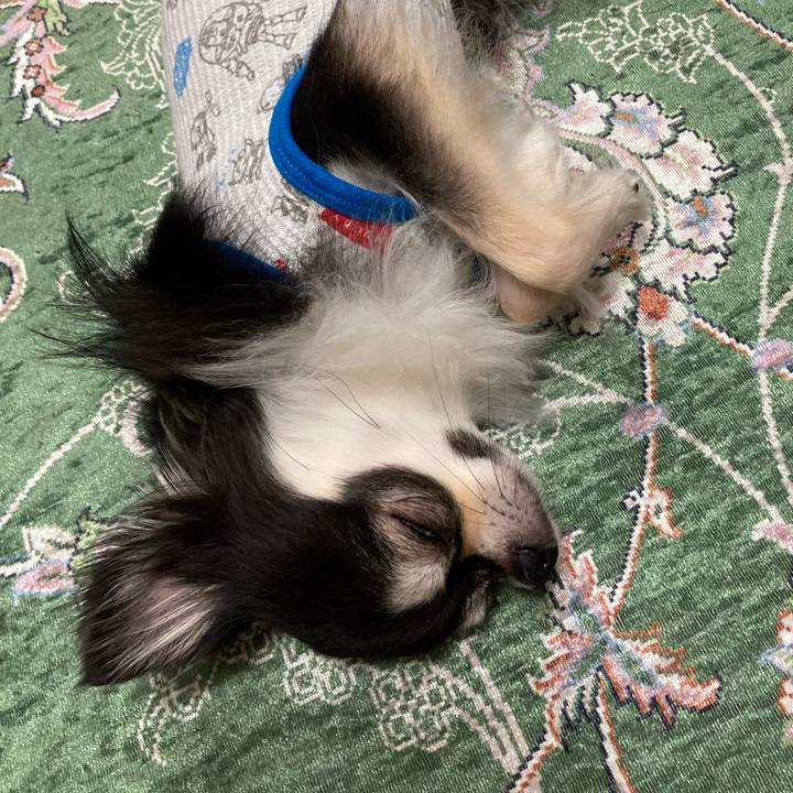 2e499e57 2216 4989 9be8 cea0b57aef73 1655559345491