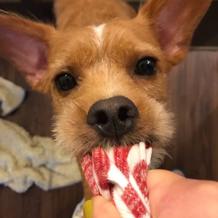 2e49a411 d711 4e9e 977f 9b465d26cfe6 1566384200586