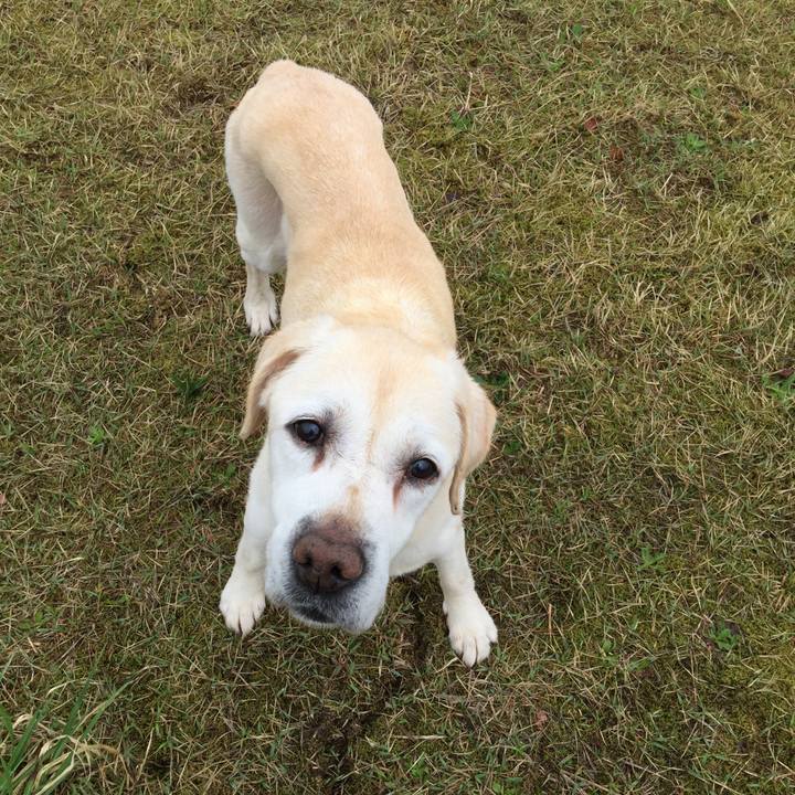 2e49c182 6aba 4d6c bd2f d64c41d814dc 1524550283516