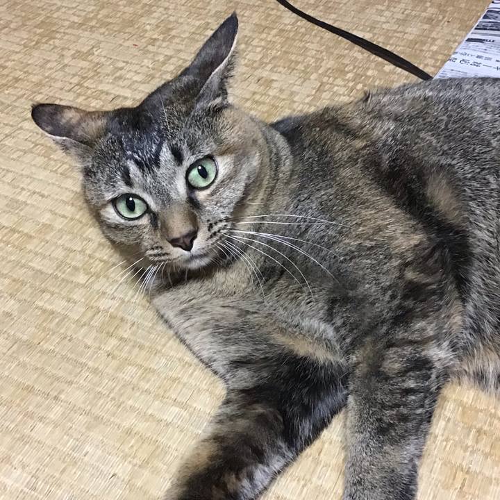 2e49c276 f5be 498e a442 6666060f2999 1634983211644