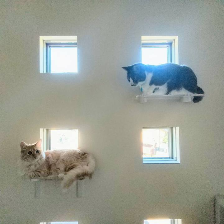 2e49cb6f eb2c 4987 9c8b d02190f7713f 1626604782995