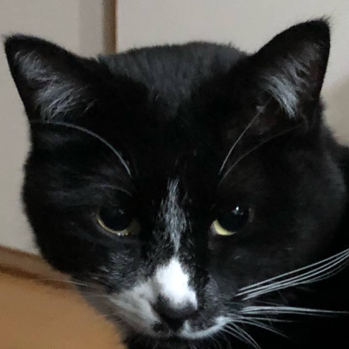 2e4a0c56 6b28 4efd b07f b66a02d419e5 1616816078439