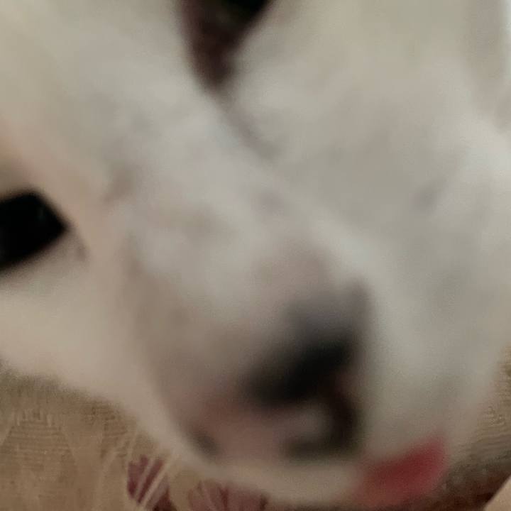 2e4a40a7 67df 43de 8e5f a32a7528d57d 1657318621660