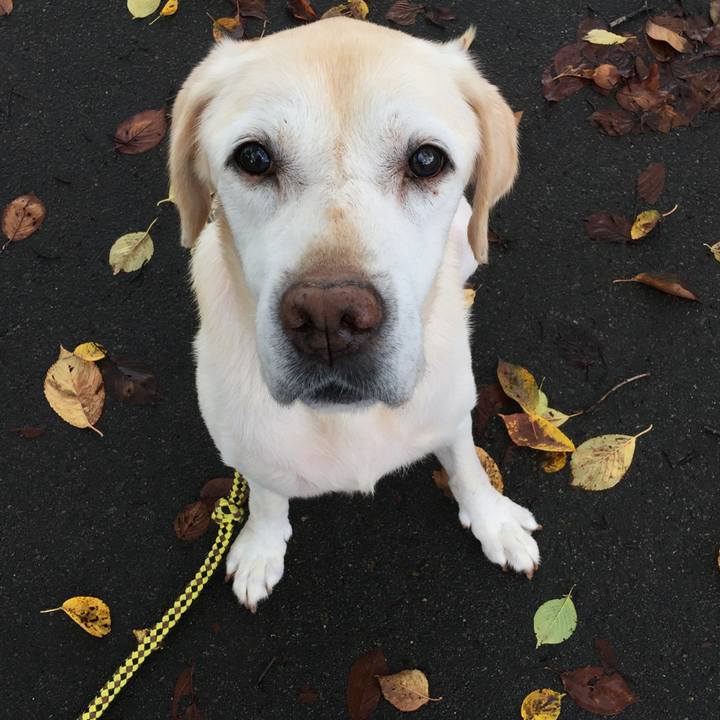 2e4ad64a c931 4e26 8bbd c0c7aa57126d 1569065510725