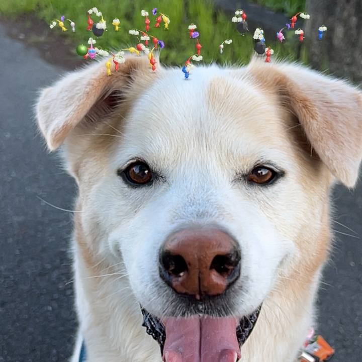 2e4adc4b 186c 49b7 98c8 4e798d3db78c 1714899341300